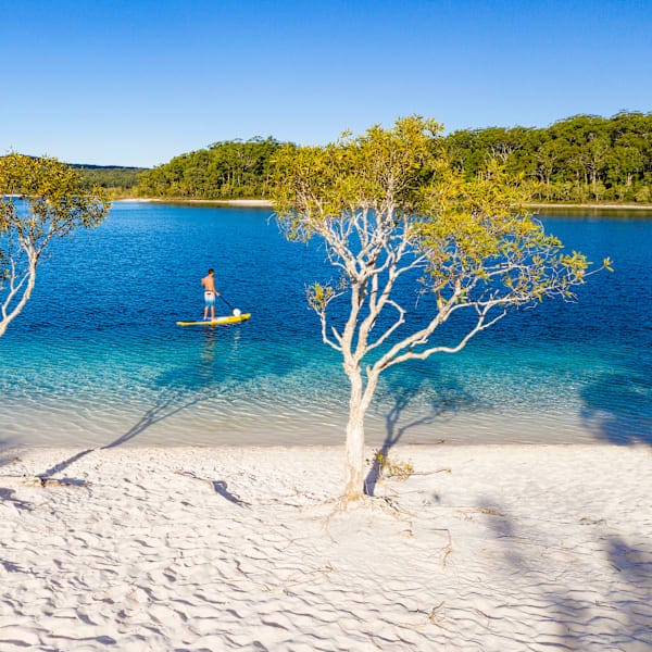 Australian Roadtrip: East Coast & Nature Adventure!