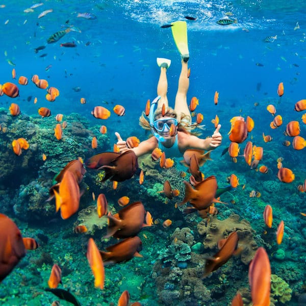 Bali & Flores: Jungle Swing, Komododrachen & Beach Bliss