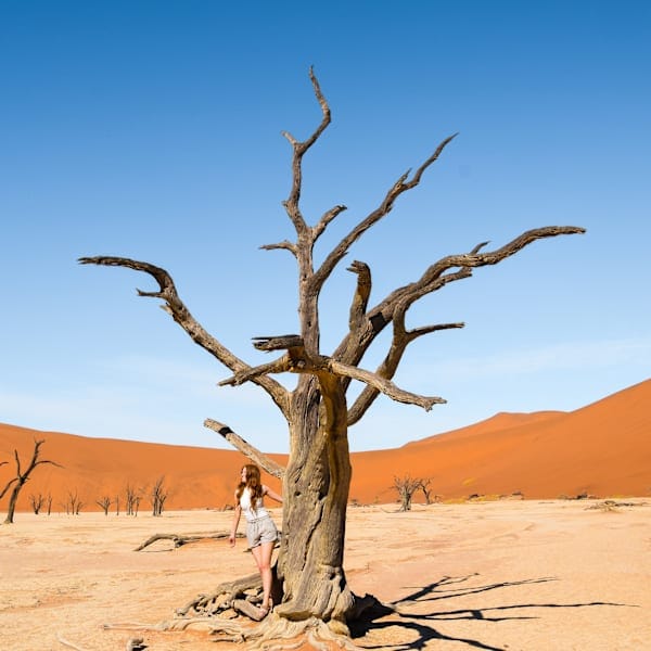 Namibia meets Südafrika: Desert Roadtrip & Wildlife Glamping