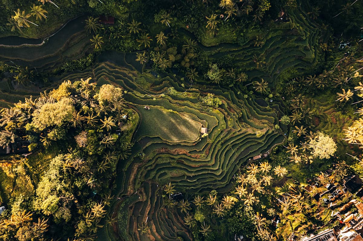 Summary picture